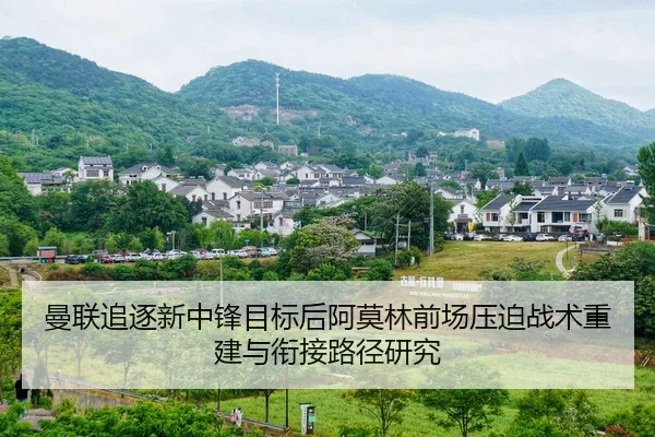 man-lian-zhui-zhu-xin-zhong-feng-mu-biao-hou-a-mo-lin-qian-chang-ya-po-zhan-shu-chong-jian-yu-xian-jie-lu-jing-yan-jiu-1-788.jpg