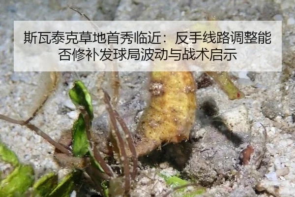 si-wa-tai-ke-cao-di-shou-xiu-lin-jin-fan-shou-xian-lu-tiao-zheng-neng-fou-xiu-bu-fa-qiu-ju-bo-dong-yu-zhan-shu-qi-shi-2-759.jpg
