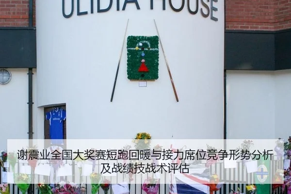 谢震业全国大奖赛短跑回暖与接力席位竞争形势分析及战绩技战术评估